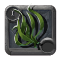 Seaweed ×140