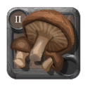 Arcane Agaric ×999