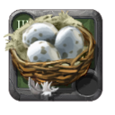 Hen Eggs ×40