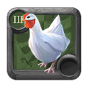 Chicken ×12