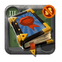 Journeyman's Tome of Insight ×32