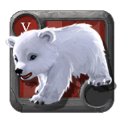 Winter Bear Cub