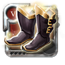 Expert's Shoes of Tenacity