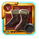 Expert's Assassin Shoes .2