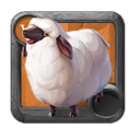 Sheep ×18