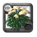 Ghoul Yarrow ×82