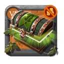 Bronze Campaign Chest: Lymhurst